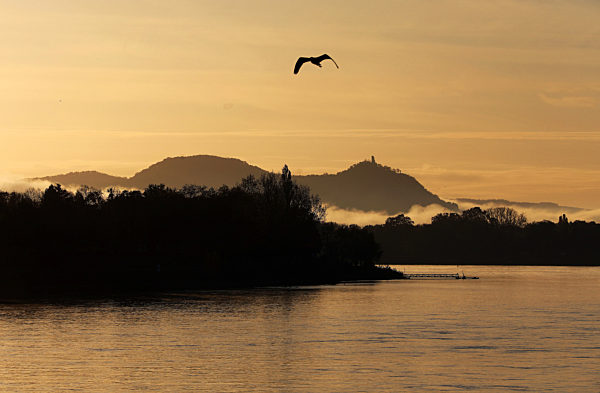 Herbststimmung in Bonn