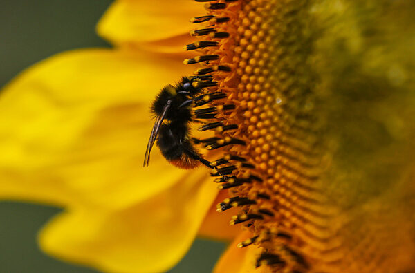 Wetter in Nordrhein-Westfalen