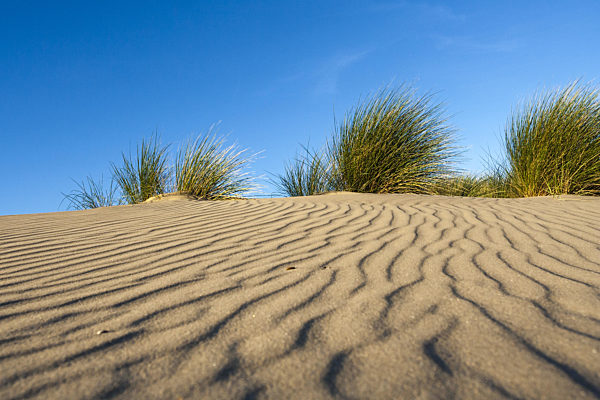 Sandrippel, Patterns in sand