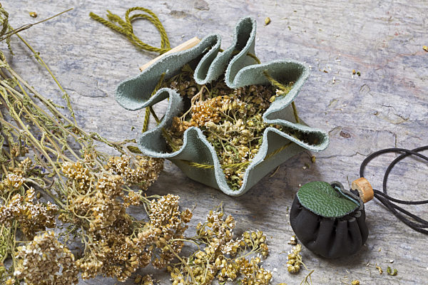 Gemeine Schafgarbe, Schafgarbe, Achillea millefolium, Yarrow, Common yarrow
