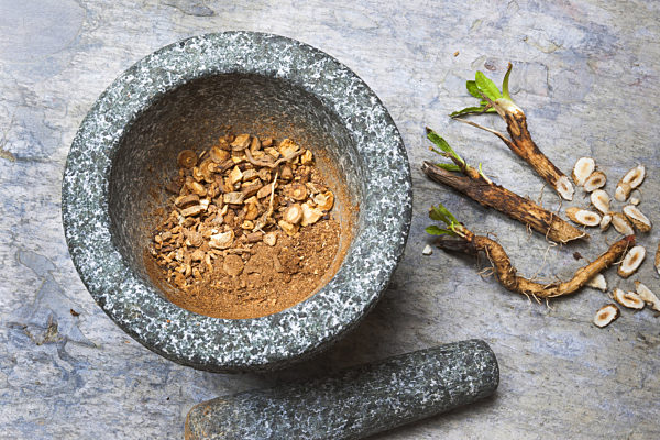 Gewoehnliche Wegwarte, Gemeine Wegwarte, Zichorie, Cichorium intybus, blue sailors, common chicory, wild succory