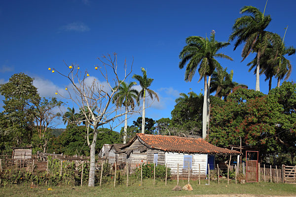 Haus und Garten der Landbevoelkerung, house and garden of rural population