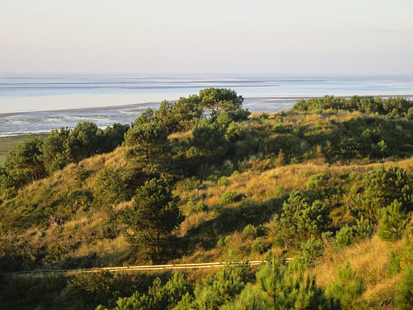 Duenen auf Vlieland mit Watt im Hintergrund, Overview at dunes with Wadden Sea in background