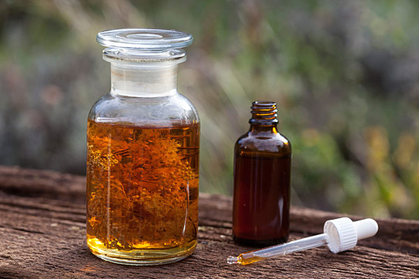 Echtes Maedesuess, Filipendula ulmaria, meadowsweet, queen-of-the-meadow