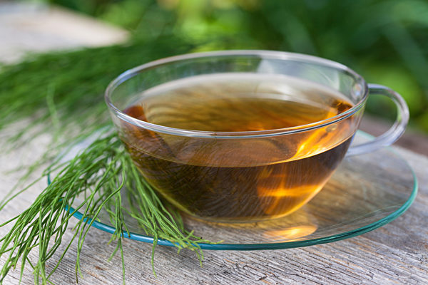 Acker-Schachtelhalm, Ackerschachtelhalm, Zinnkraut, Equisetum arvense, field horsetail