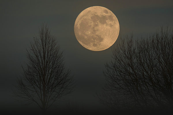 Supermond, kuerzeste Entfernung zur Erde am 1.1.2018, super moon, closest distance to the earth, 01.01.2018