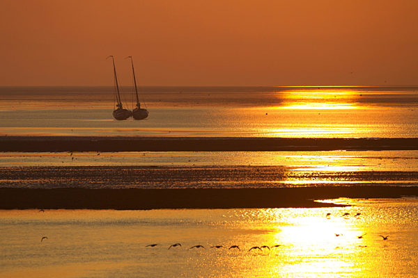 Segelboot auf der Nordsee bei Sonnenuntergang, Sailing boat on the Waddensea at sunset