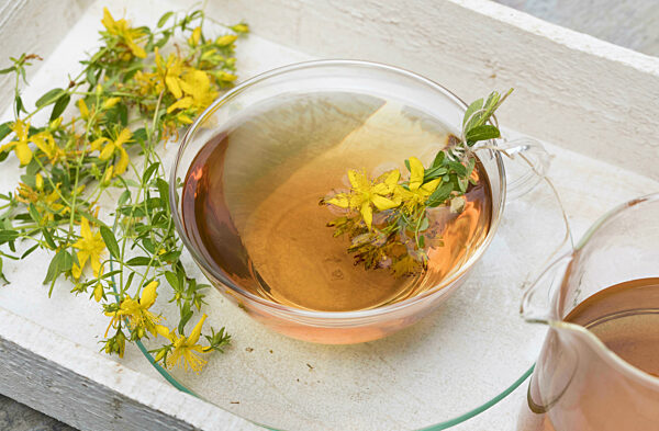 Echtes Johanniskraut, Tuepfel-Hartheu, Tuepfelhartheu, Tuepfel-Johanniskraut, Tuepfeljohanniskraut, Johanniskraut, Hypericum perforatum, Common St Johns-wort, perforate St Johns-wort, klamath weed, St. Johns-wort