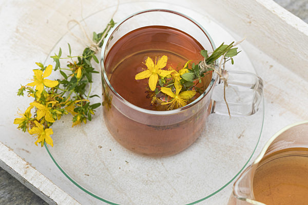 Echtes Johanniskraut, Tuepfel-Hartheu, Tuepfelhartheu, Tuepfel-Johanniskraut, Tuepfeljohanniskraut, Johanniskraut, Hypericum perforatum, Common St Johns-wort, perforate St Johns-wort, klamath weed, St. Johns-wort