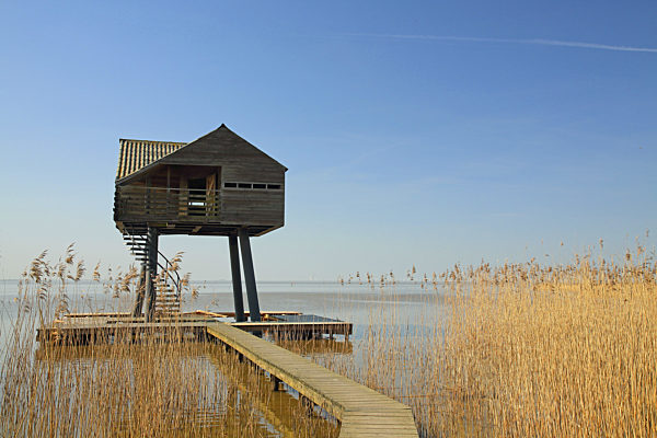 Vogelbeobachtungshuette am Schilfrand, bird view station at the reed banks