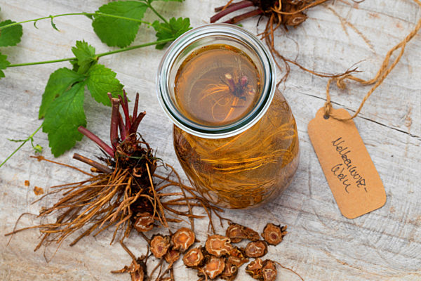 Echte Nelkenwurz, Stadt-Nelkenwurz, Stadtnelkenwurz, Geum urbanum, common avens, wood avens, clover-root