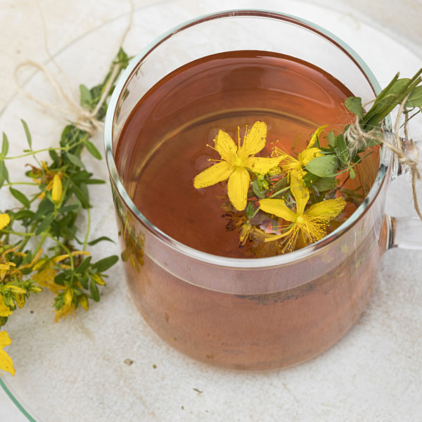 Echtes Johanniskraut, Tuepfel-Hartheu, Tuepfelhartheu, Tuepfel-Johanniskraut, Tuepfeljohanniskraut, Johanniskraut, Hypericum perforatum, Common St Johns-wort, perforate St Johns-wort, klamath weed, St. Johns-wort