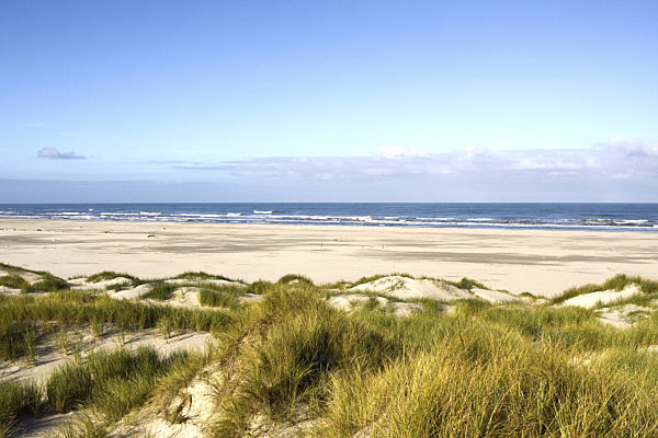 Dünen und Strand auf Vlieland, View at beach from dunes
