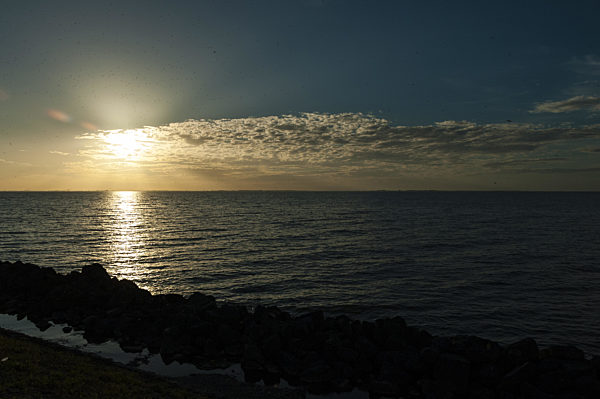 Sonnenuntergang bei Oostvaardersdijk, Sunset at the Oostvaardersdijk