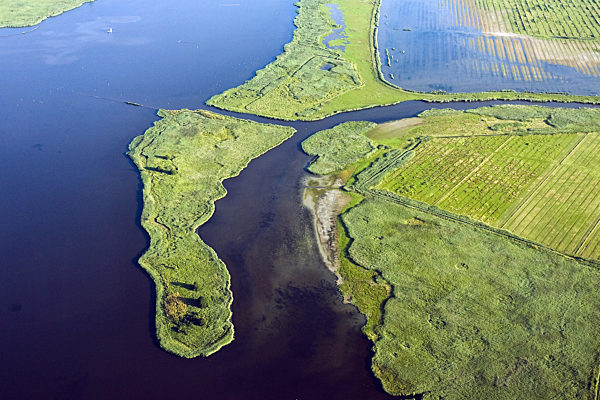 Kuestenlandschaft an der Nordsee, Luftbild, coastal landscape at the North Sea, aerial photo