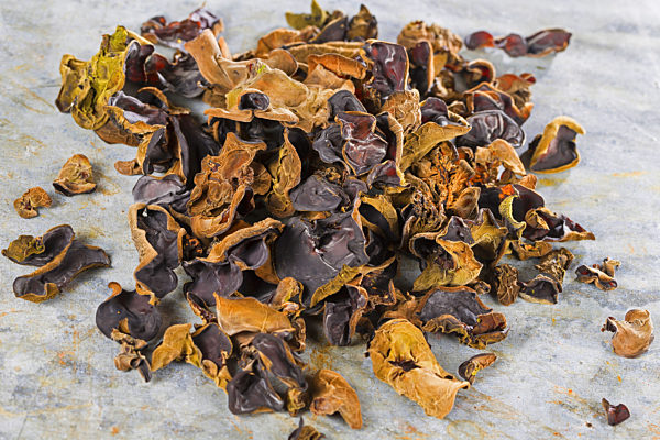 Judasohr, Judas-Ohr, Ohrlappenpilz, Ohrlappen-Pilz, Holunderschwamm, Holunder-Schwamm, Auricularia auricula-judae, Hirneola auricula-judae, Auricularia auricula, Auricularia sambucina, Jelly ear