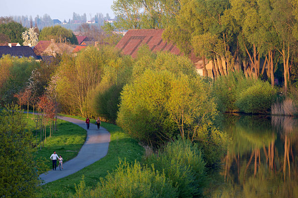 Spazierweg entlang der Scheldt, path along river scheldt