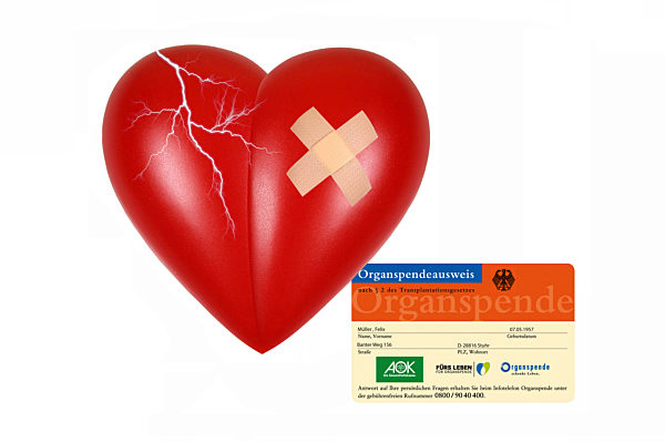rotes Herz mit Pflaster und Organspendeausweis, Herzinfarkt, Composing, red heart with sticking plaster and organ donor card, heart attack, composing