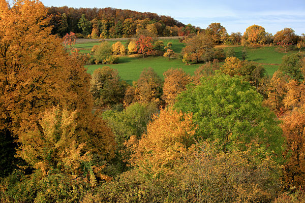 Herbstlandschaft mit Laubbaeumen, autumn scenery with deciduous trees