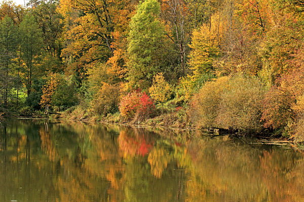 Herbststimmung an einem See, autumn mood at a lake