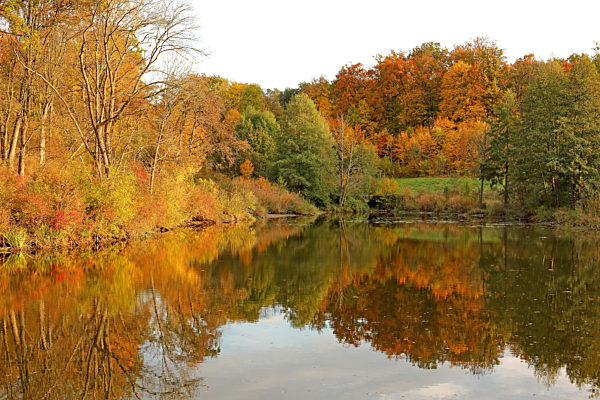 Herbststimmung an einem See, autumn mood at a lake