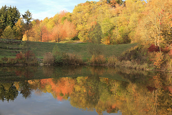 Herbststimmung an einem See, autumn mood at a lake