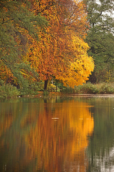 Herbststimmung an einem See, autumn mood at a lake