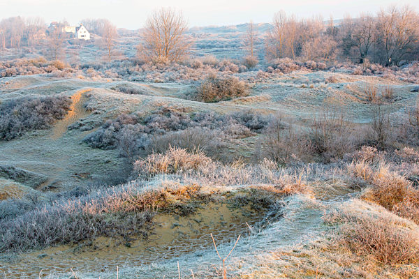 Naturschutzgebiet Plaatsduinen mit Rauhreif, Natur reserve Plaatsduinen with hoar frost