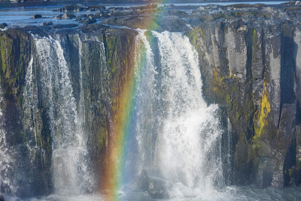 Wasserfall Selfoss, Wasserfall des Flusses Joekulsá á Fjoellum, Gischt bildet Regenbogen, waterfall Selfoss, waterfall of the river Jökulsá á Fjöllum, spume forming a rainbow