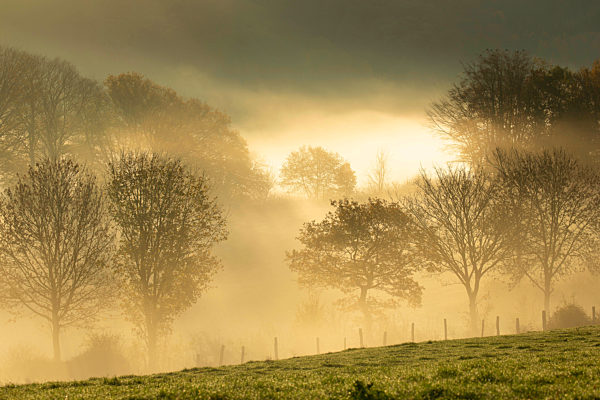 Nebel im Tal von Nassogne, mist in valley in Nassogne