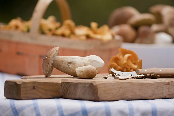 Steinpilze und Pfifferlinge liegen zum sauber machen auf einem Tisch, penny buns and chanterelles on a chopping board