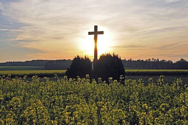 Feldkreuz mit Christusfigur in einem bluehenden Rapsfeld bei Sonnenuntergang, crucifix in a blooming rapefield at sunset