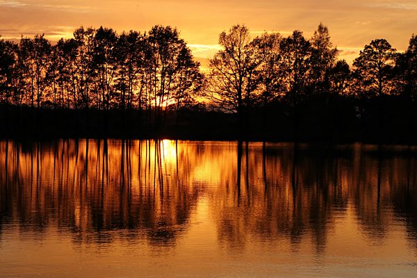 Sonnenuntergang im NSG Niederspree, sunset at nature reserve Niederspree