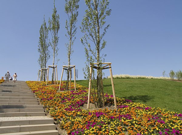 Treppe mit flankierenden Blumenbeeten mit Tagetes und Petunien und Pappel-Reihen auf der Bundesgartenschau 2007 Gera und Ronneburg, stairs with flowerbeds and rows of poplars on the Federal Garden Exhibition 2007 Gera and Ronneburg, Bundesgartenschau