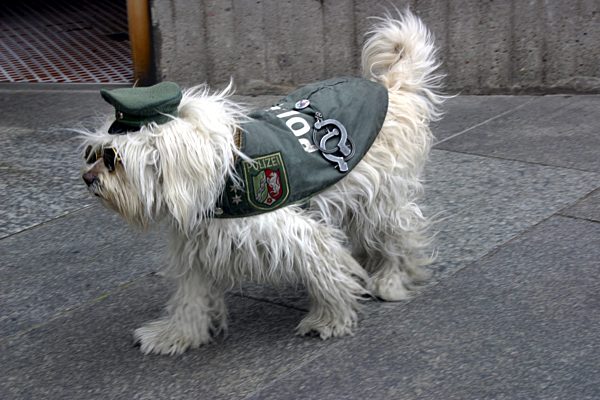 Polizeihund, police dog