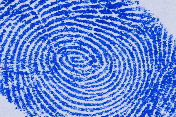 Detail eines Fingerabruckes, der mit der Tinte eines Stempelkissens genommen wurde, fingerprint fixed with the ink of a stam pad