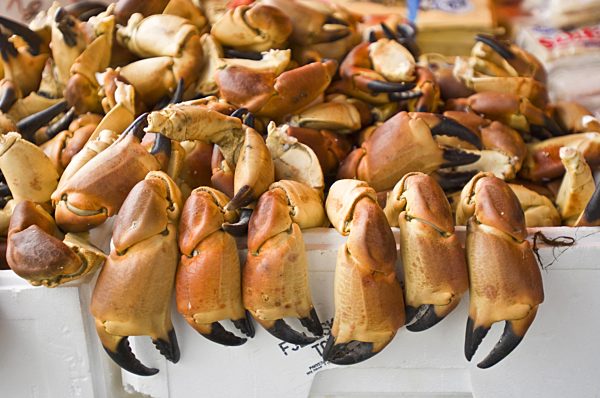 Krabbenscheren auf einem Fischmarkt, crab claws at the fish market