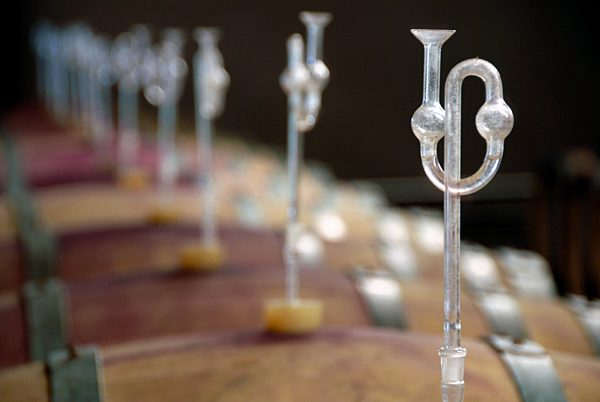 Keller eins Weinguts in der Pfalz, Barriquefaesser mit Gaerroehrchen, cellar of a winery, oak barrels with fermentation locks