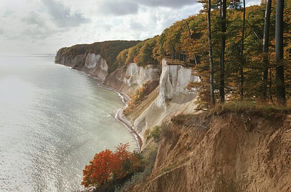 Kreidesteilkueste der Insel Ruegen im Herbst, chalk cliff of Rügen island in autumn