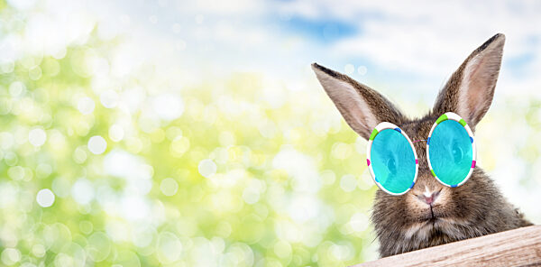cooler Osterhase mit Ostereierbrille, Composing, cool easter bunny with easter egg glasses, composing