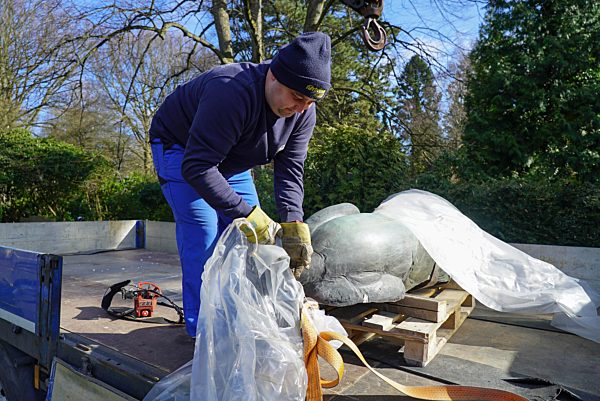Neuer Hagenbeck Loewe Triest