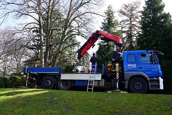 Neuer Hagenbeck Loewe Triest