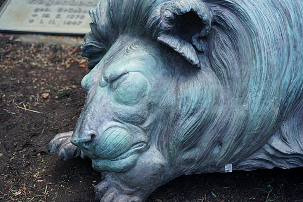 Neuer Hagenbeck Loewe Triest