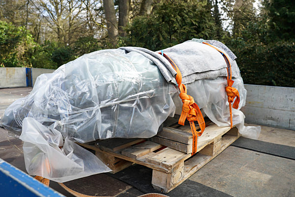 Neuer Hagenbeck Loewe Triest