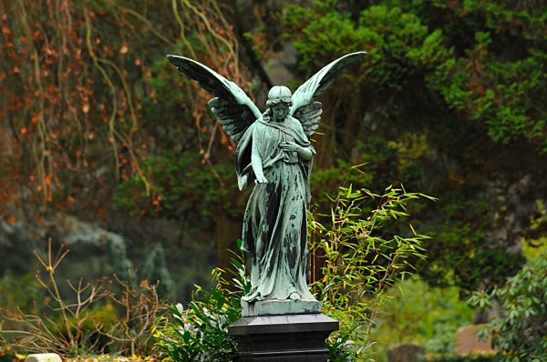 Featrure - Herbststimmung Friedhof Ohlsdorf