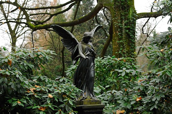 Featrure - Herbststimmung Friedhof Ohlsdorf