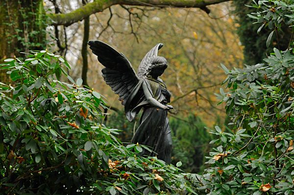 Featrure - Herbststimmung Friedhof Ohlsdorf