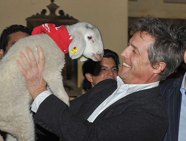 Christmas Market at Aiderbichl Estate