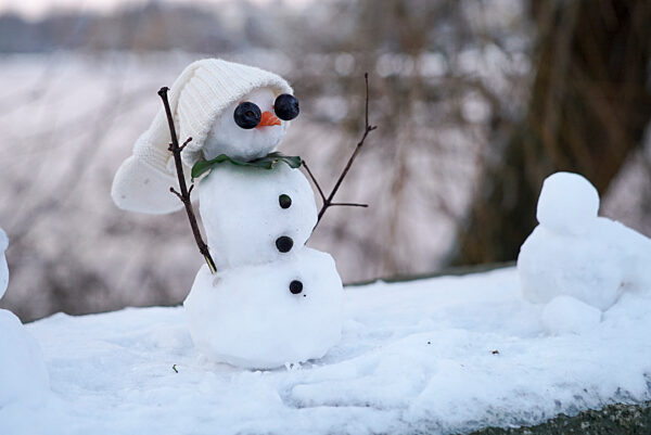 cntv- HH Snowwoman Parade