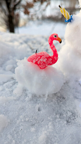 cntv-New Snow Figures